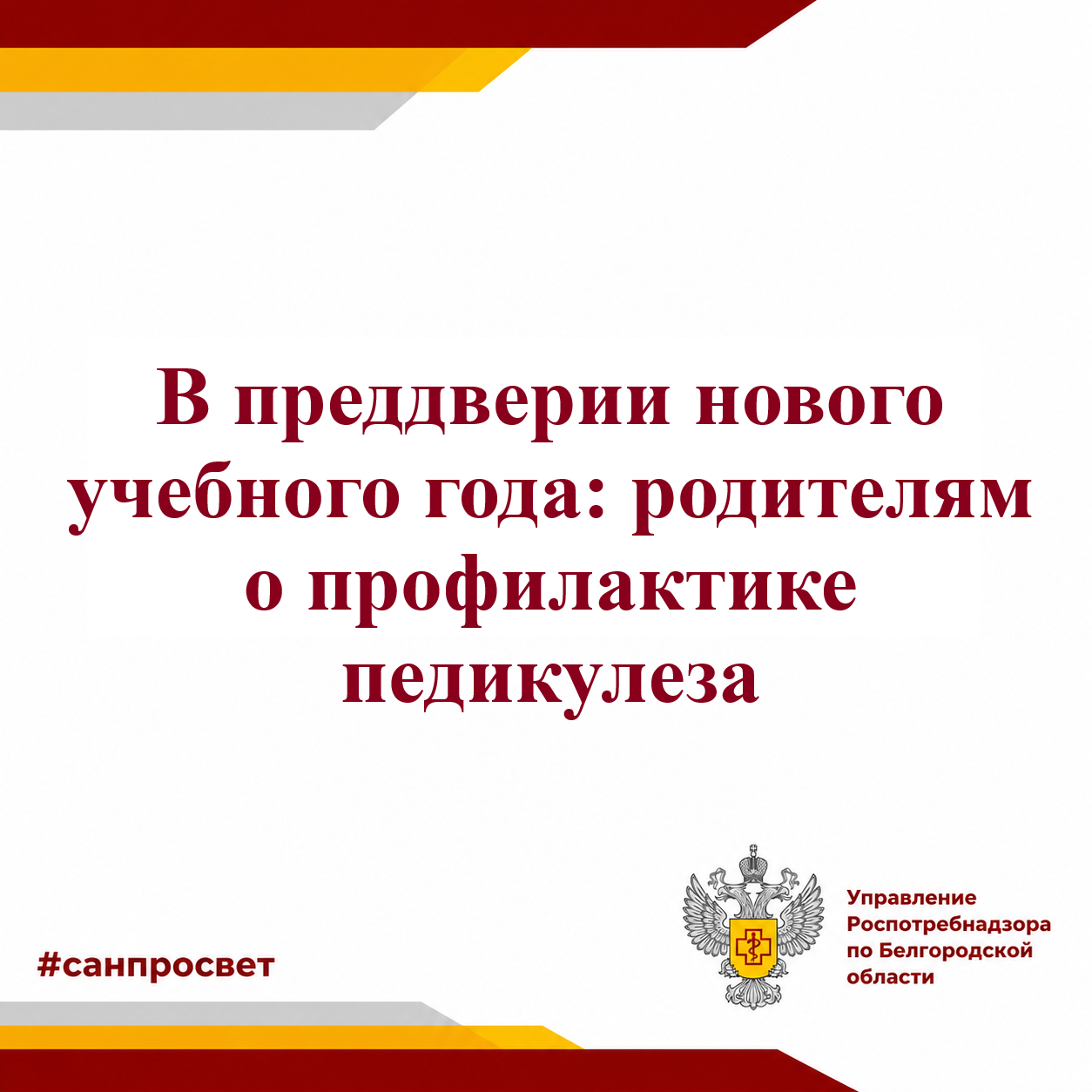 В преддверии нового учебного года: родителям о профилактике педикулеза