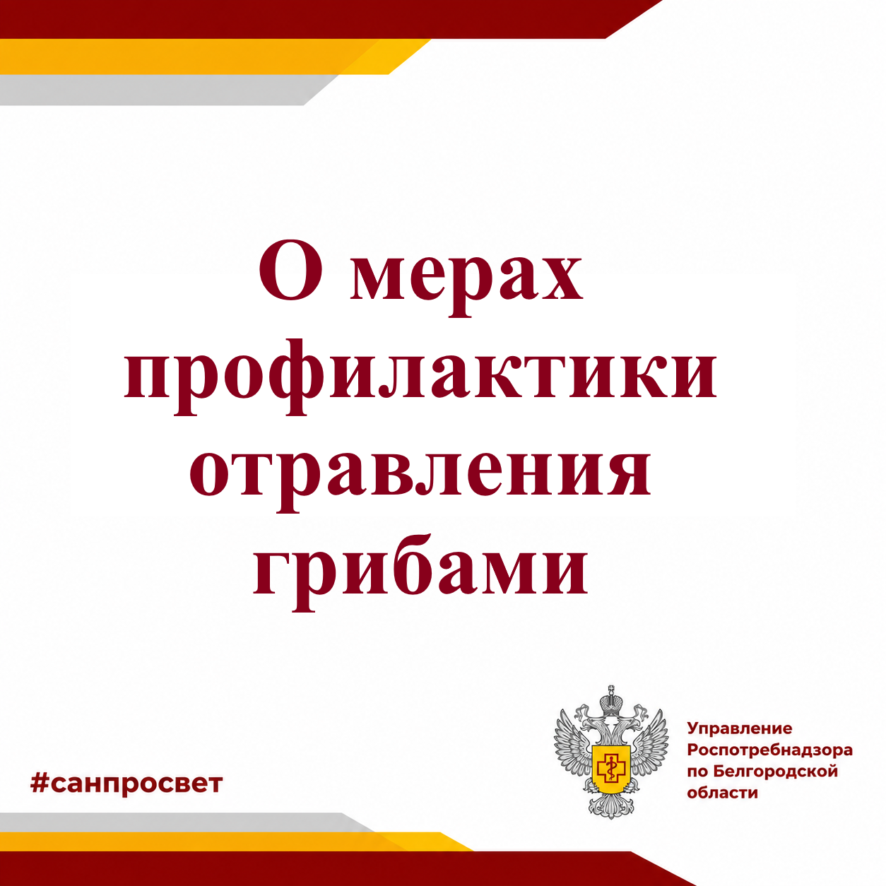 О мерах профилактики отравления грибами