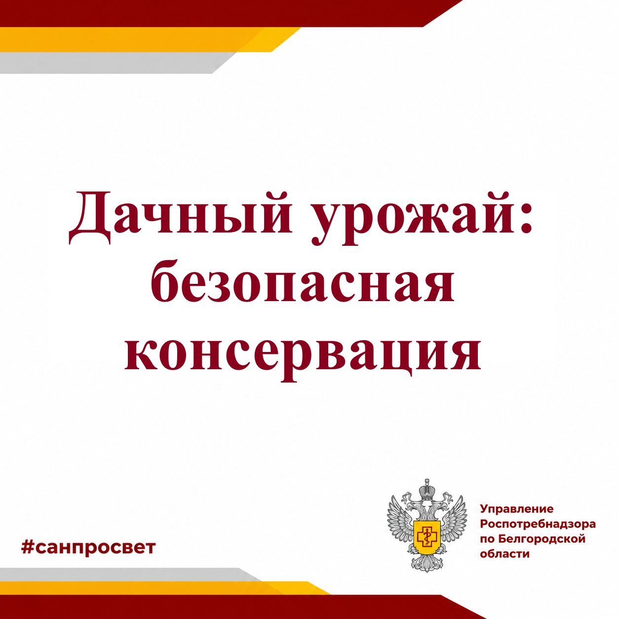 Дачный урожай: безопасная консервация